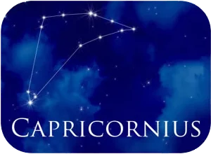 capricorn