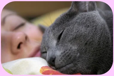 sleeping girl and pet cat