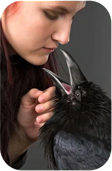 jenny and her pet raven kissing
