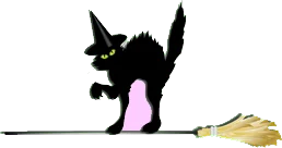 black cat belonging to a witch
