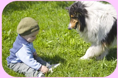 young boy and dog